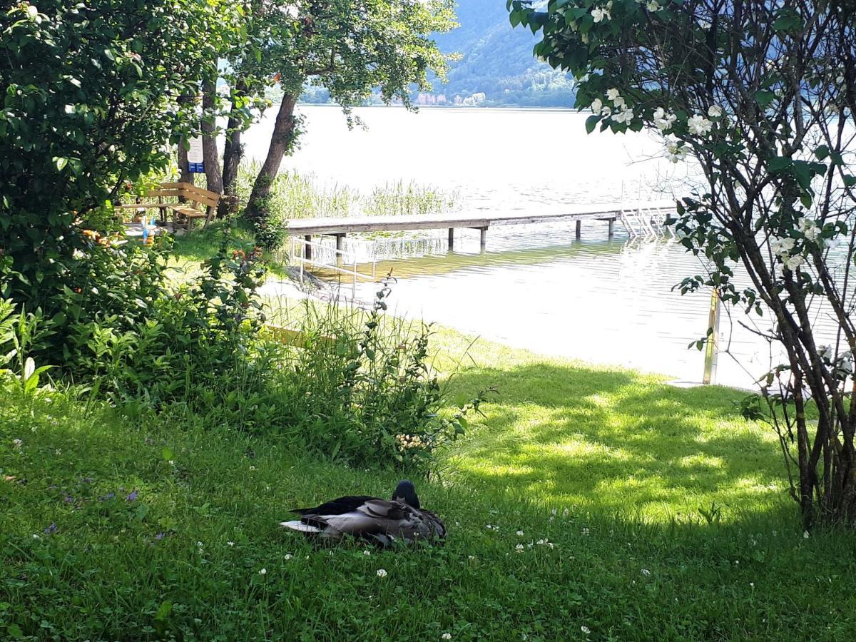 Maren Seeblick Appartement Haus Haensel&Gretel Direkt Am Ossiacher See Mit Hallenbad Skiarena Gerlitzen Stiegl Экстерьер фото